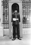 1930s Buckingham Palace Guard