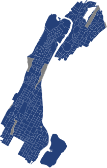 2022 New York's 13th congressional district election results map by precinct.svg
