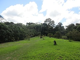 Allpahuayo Mishana