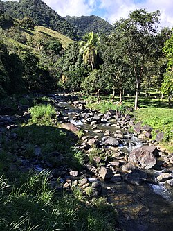 Recreation area near Quebrada Arriba