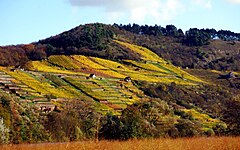 Der Grainberg im Herbst