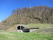 Biberlichopftunnel südöstlich des Bahnhofs Ziegelbrücke