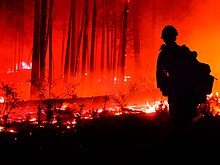 Silhouetted firefighter in front of red flames burning among a group of trees at nighttime
