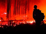 Firefighter watching the Boundary Fire, June 17, 2017