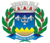 Official seal of Monte Sião