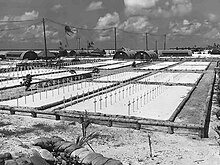 37 kuburan di Tarawa.