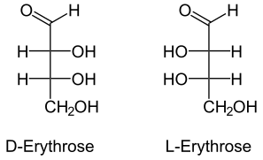 L- et D-érythrose.