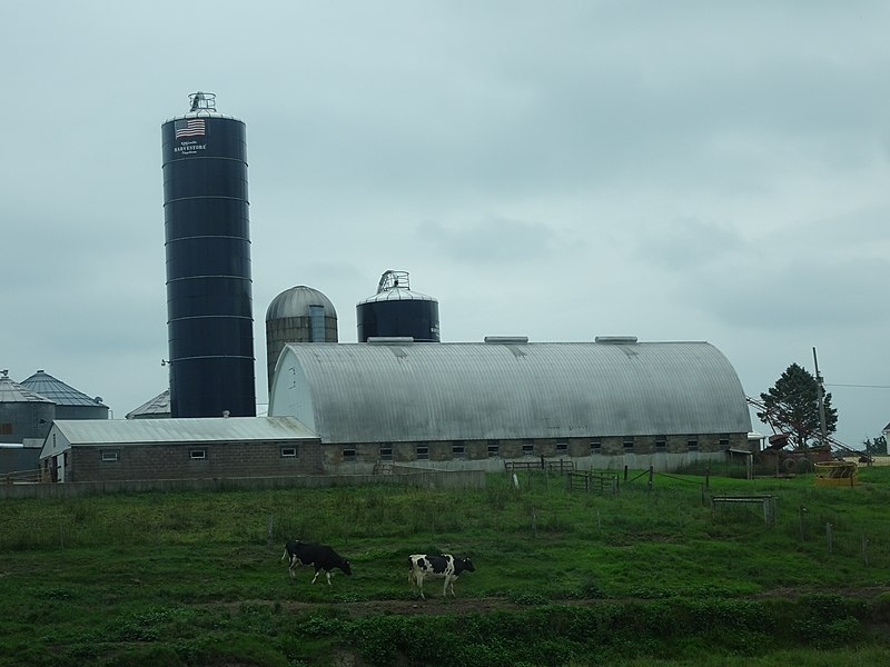 파일:Dairy Farm with Three Silos - panoramio (8).jpg