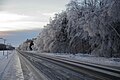 Frimas sur la route 265 à Deschaillons-sur-Saint-Laurent