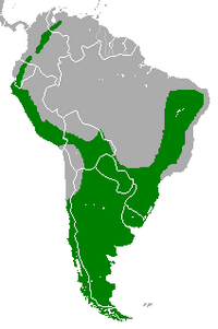 Distribución de Geranoaetus melanoleucus