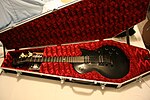 Миниатюра для Файл:Gibson Les Paul Studio Gothic in the coffin case.jpg