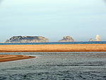 Platja de la Gola del Ter (Torroella de Montgrí)