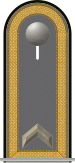 Dienstgradabzeichen auf der Schulterklappe der Jacke des Dienstanzuges für Heeresuniformträger der Pioniertruppe.