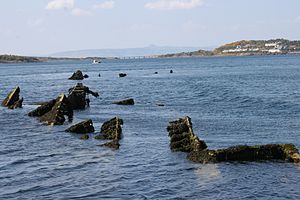 Vrak HMS Port Napier 15.jpg