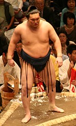 Miniatura Hakuhō Shō