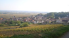 Image illustrative de l’article Volnay (AOC)