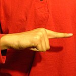 The "L" handshape produced with the the pinky-finger edge of the palm facing the camera