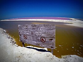 Laguna Rosa bei Las Coloradas