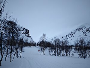 Mammohke till vänster med sin branta profil tillsammans med det ståtliga Sielkentjakke till höger