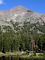 Mount Dana, Yosemite.