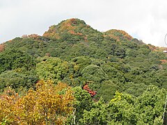 Mont Shigi.