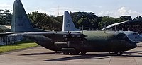 A pair of Lockheed C-130 Hercules at Villamor Air Base