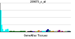 PBB GE NUMB 209073 s at tn.png