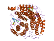 2idx: Structure of Human ATP:Cobalamin adenosyltransferase bound to ATP.