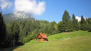 la roccia del monte Tersadia che sovrasta il Castoia caratterizzato da una fitta abetaia