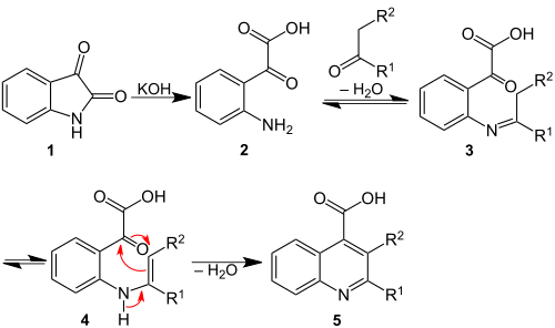 Reaktionsmechanismus der Pfitzinger-Reaktion