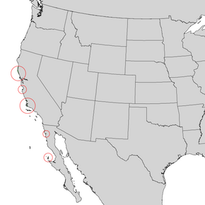 Description de l'image Pinus muricata range map 1.png.