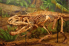 Скелет Postosuchus kirkpatricki в Музее Техасского технологического университета[англ.]