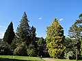 Sachgesamtheit Rhododendronpark Kleine Bastei mit mehreren Einzeldenkmalen und Parkanlage