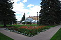 Image 29The Rocky Mountain Herbarium at the University of Wyoming (from Wyoming)