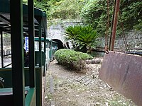 同金山のトロッコ乗車