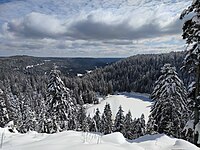 Blick auf den zugefrorenen Glaswaldsee vom Aussichtspunkt Seeblick