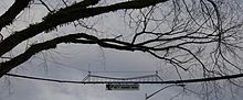 Photographie d'un câble tendu entre deux arbres.