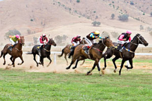 Horses race on grass at the 2006 Tambo Valley Races in Swifts Creek, Victoria.