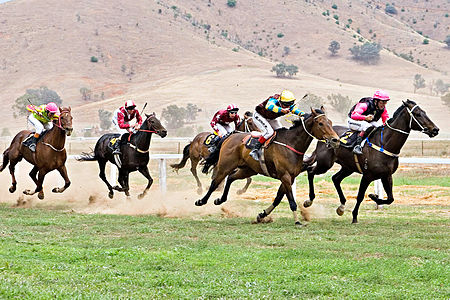 horse racing at the Tambo Valley Picnic Races in Victoria, Australia