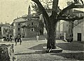 The Gorbio elm, Alpes-Maritimes, in 1910