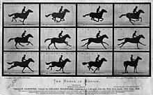 The Horse in Motion high res.jpg