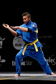 Vovinam демонстрация Master de Fleuret 2014 t223129.jpg