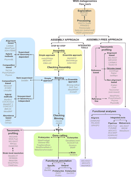 Schematic representation of the main steps necessary for the analysis of whole metagenome shotgun sequencing-derived data. The software related to each step is shown in italics. WGS metagenomics analysis steps.gif