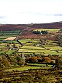 Widecombe Valley