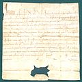 Verklaring van bescherming door Paus Innocentius III (1208)