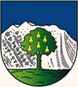 Wals-Siezenheim címere