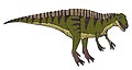 Acrocanthosaurus