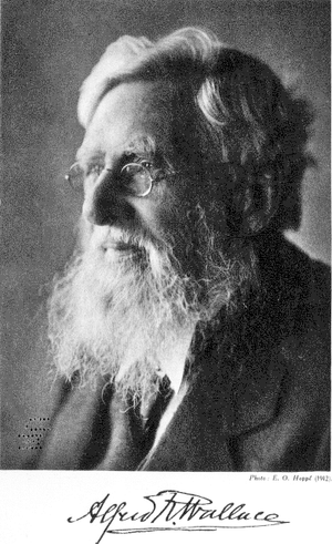 Alfred Russel Wallace (1912)