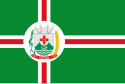 Bandeira de Paramirim