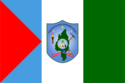 Santa María de Nieva – Bandiera